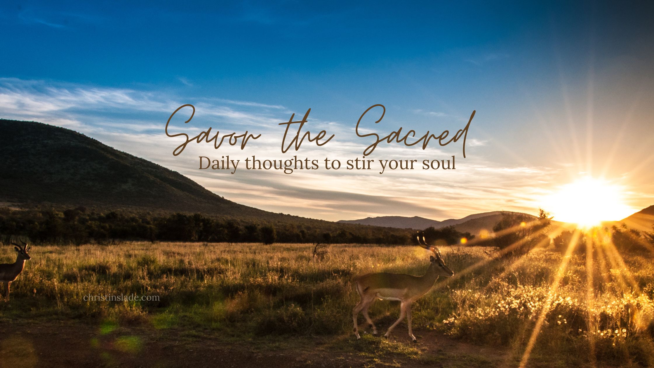 Release the Overwhelm