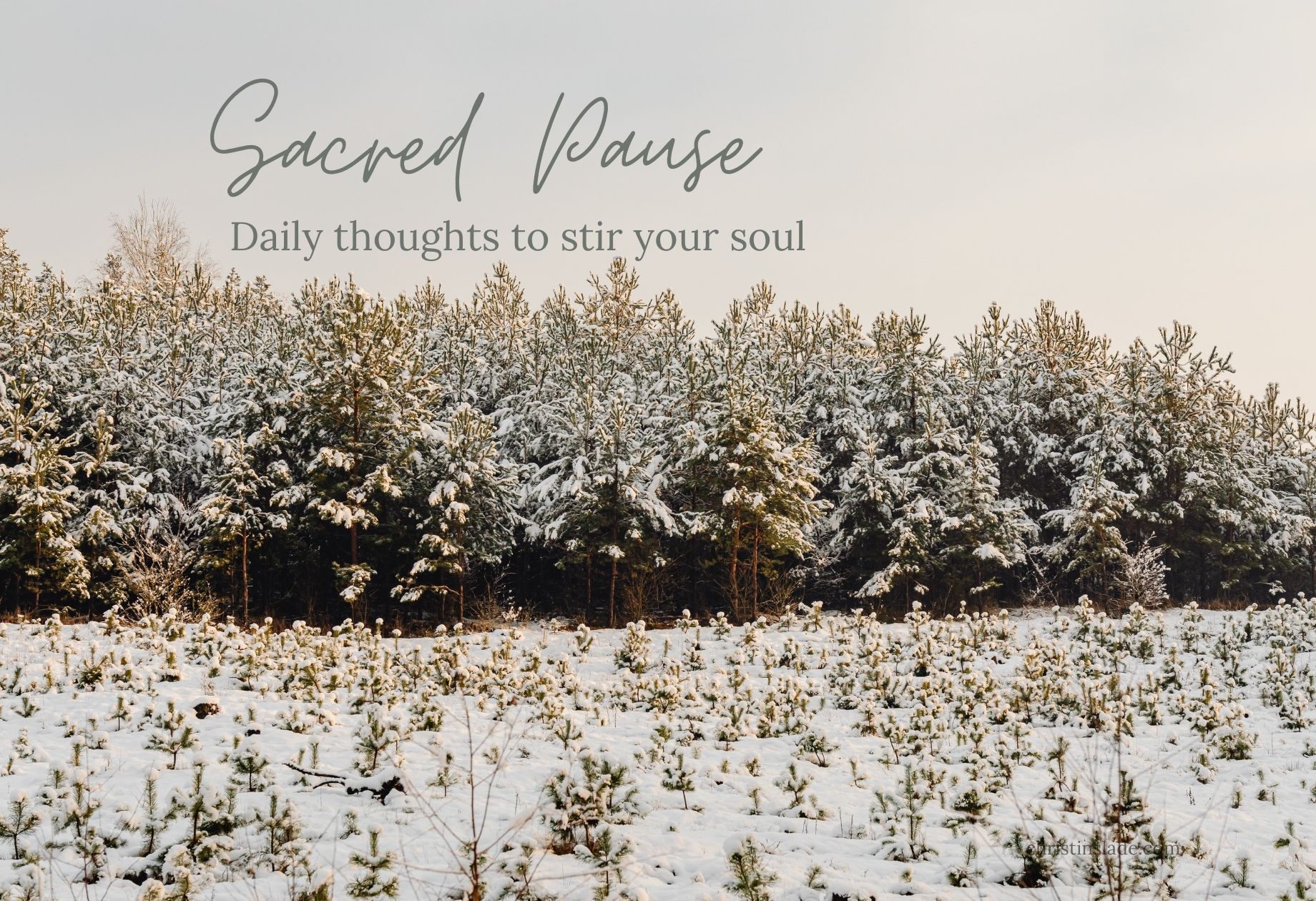 The Enemy Is Here to Steal