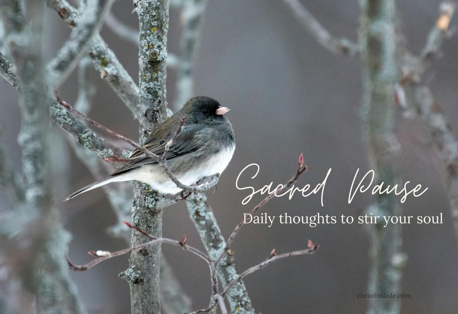 Remember Then, His Goodness